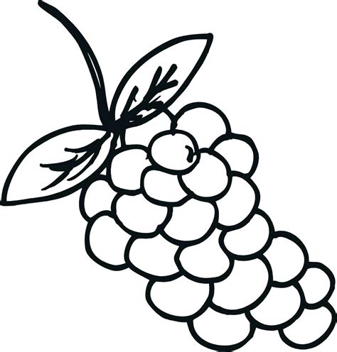 grapes coloring book